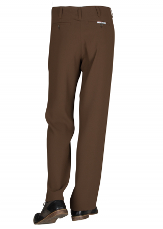 Pleated Pants in Brown Model Swing